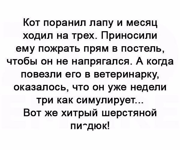 026546e8d0317c04fc5ec8837ad8a372.avif