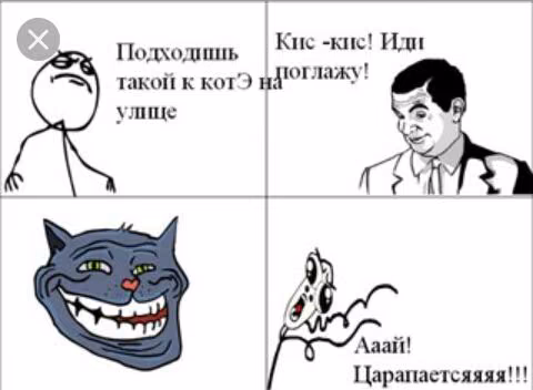 026617577866548f8c34a2ada62c0765.avif