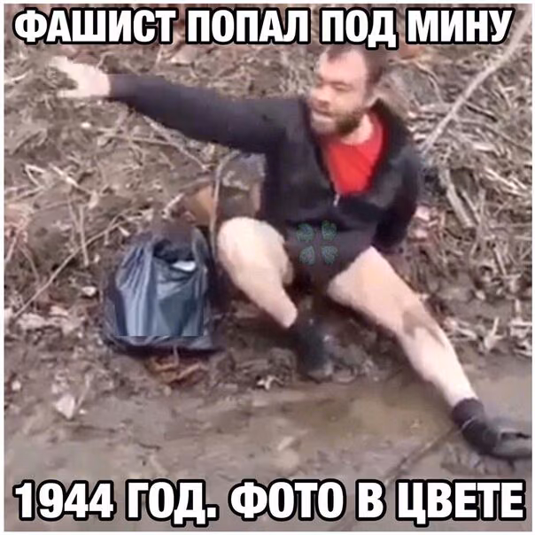 026f885292a59972ff3c9f444fc10b09.jpg