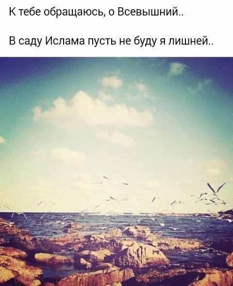02821c410592163a2b631e881eb9af50.avif