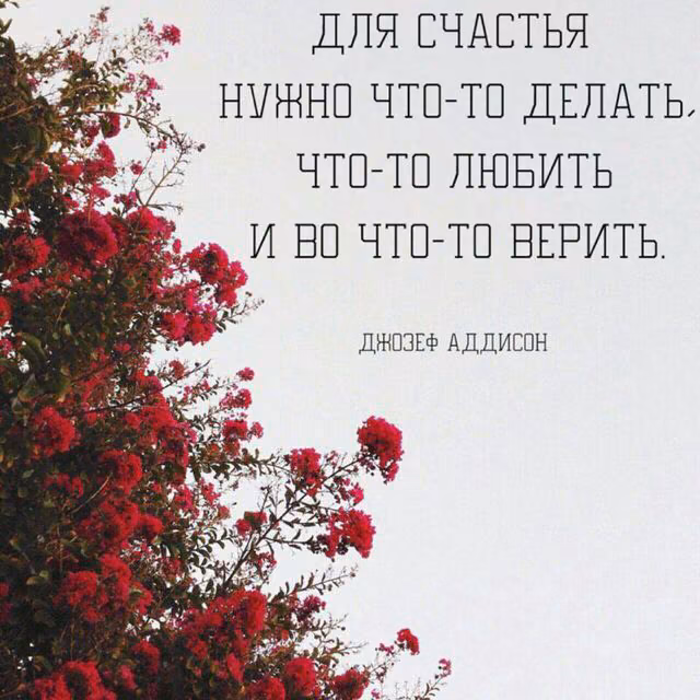 028be3a1395f2c261e1ab3689df77539.jpg