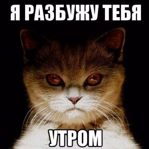 028d0b00cb43238217c538dc9ac58ff9.jpg