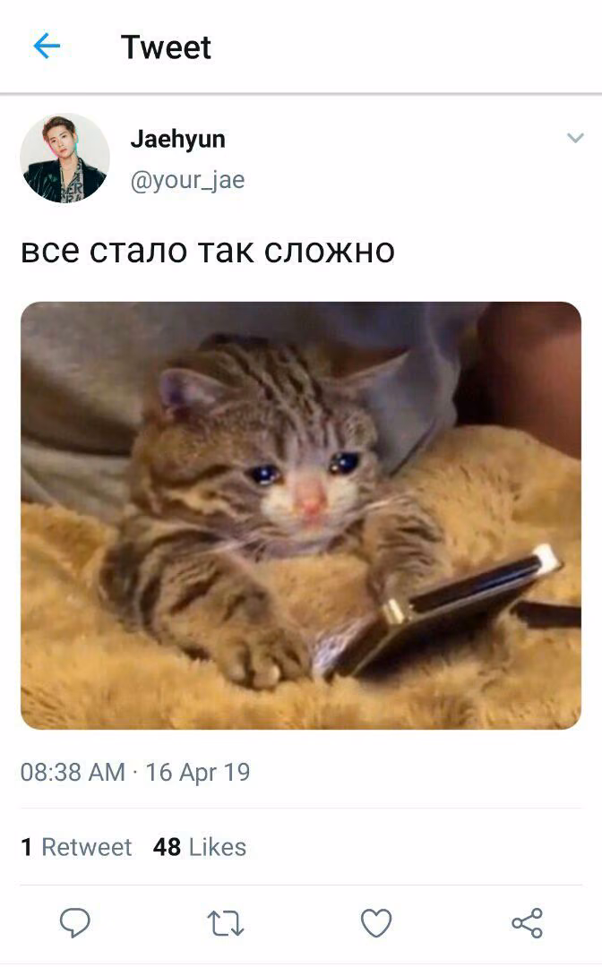 02b02ced5c892e1f5095d6be834c390c.jpg