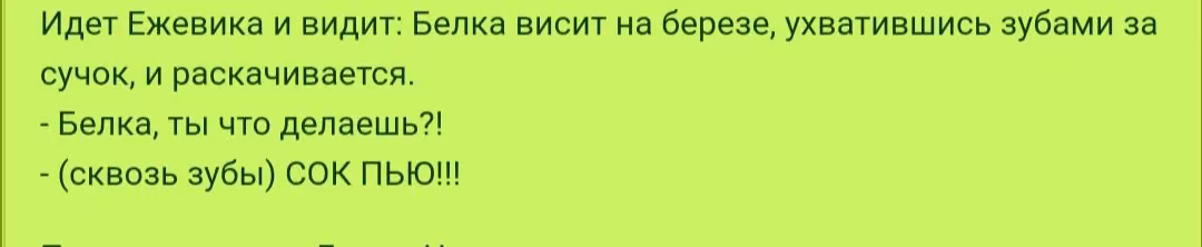 02b492f608e4b308dd59d38ed8e8245d.avif