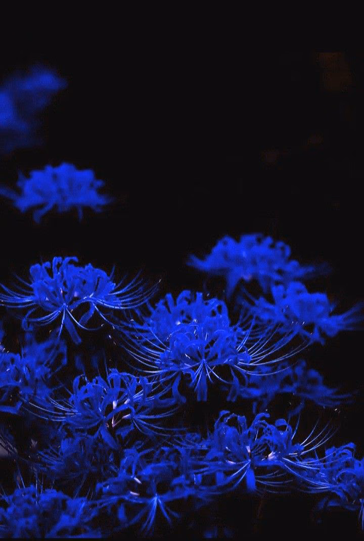 784057eae33de1355ef540411204e30f.jpg