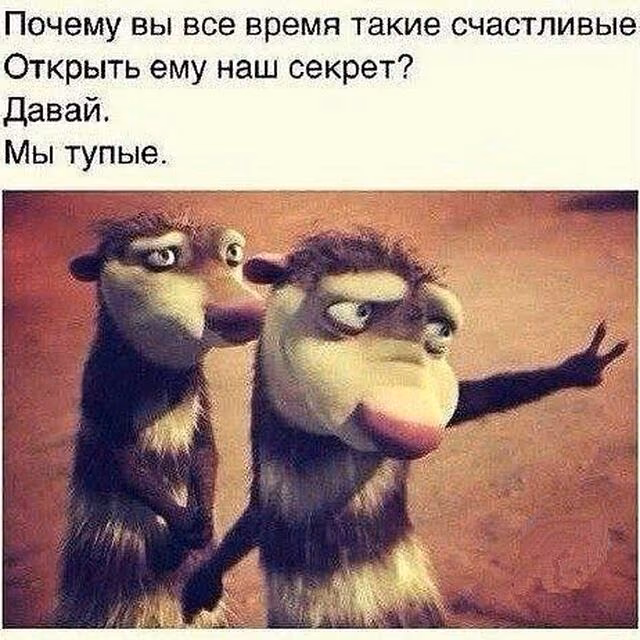 0304671c847ae18c84f83a23bca3635d.jpg