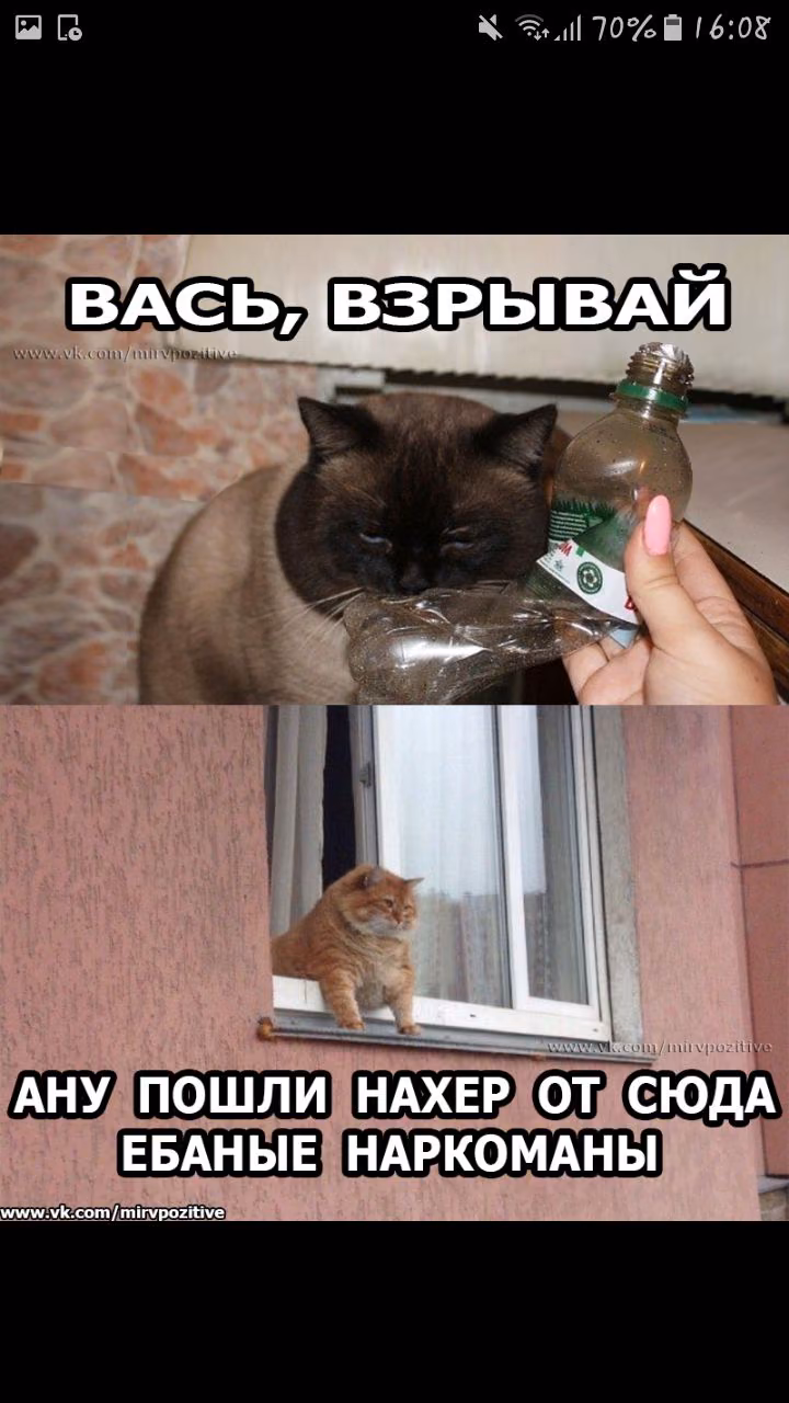 030d830ad8b91620459472d56c5512c7.jpg