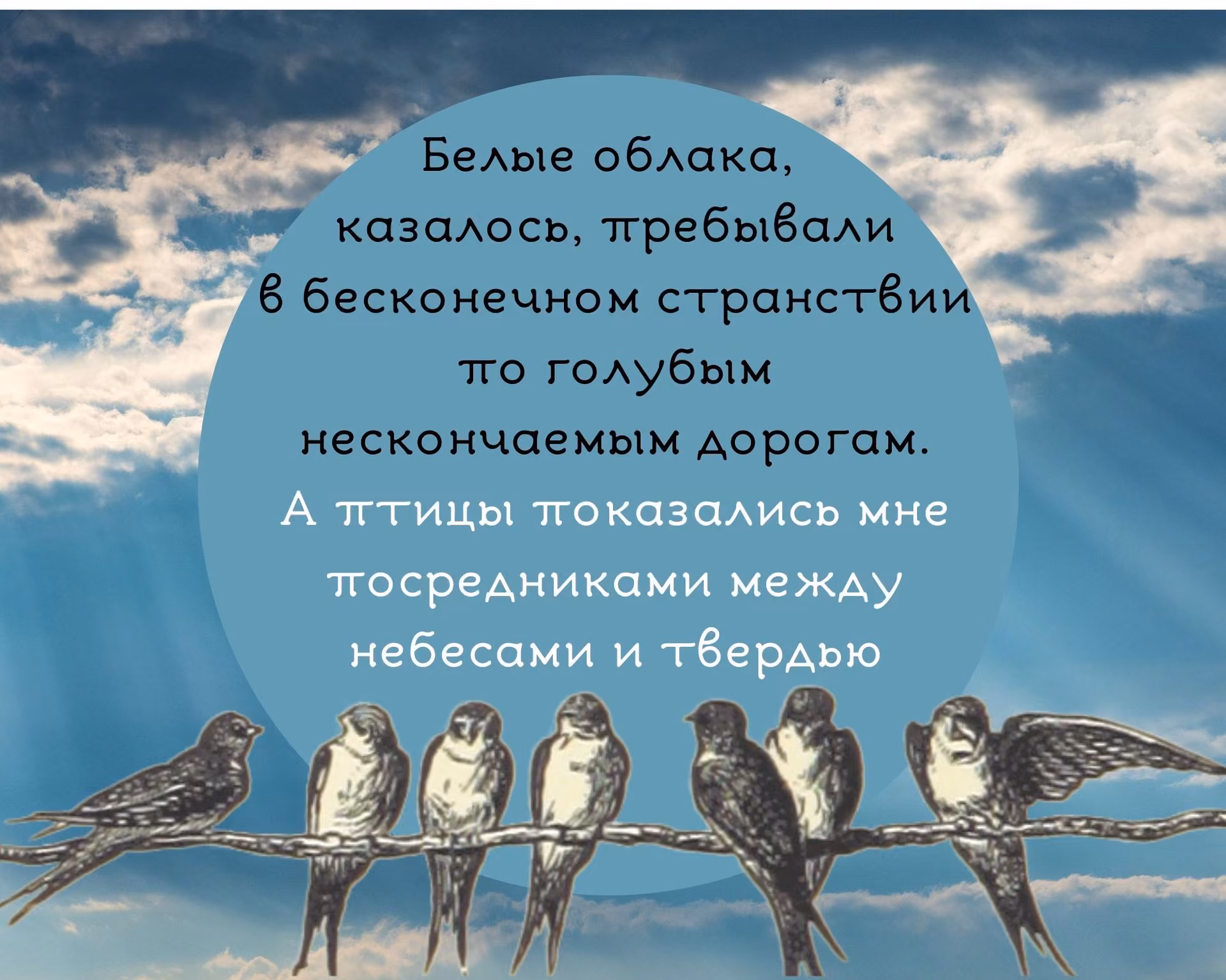 03104b7274388d0f1f13b69d65e2e238.jpg