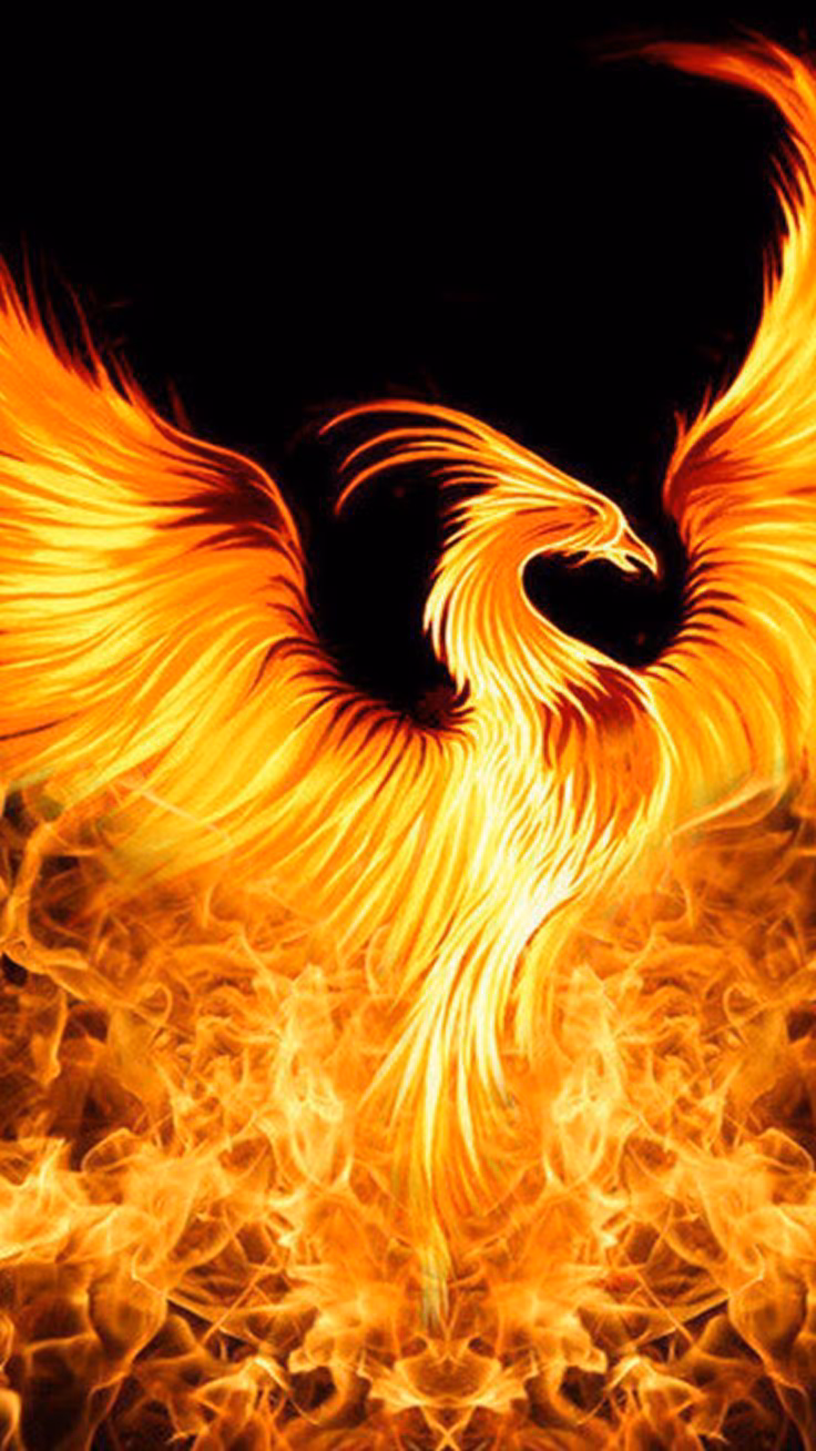 0320a76699db5709e7a41575ca981e43.avif