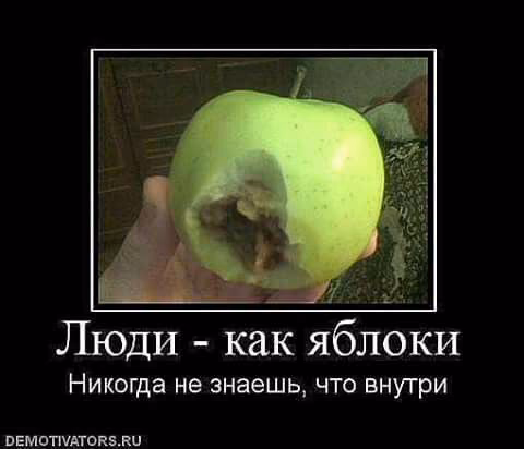 03270e522a76b03dcafe726e6ecc9c60.jpg