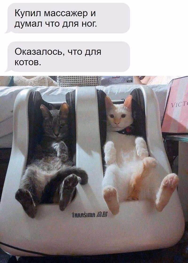 0335c15bfd72fbea1c2c3ad6bea42dc5.avif