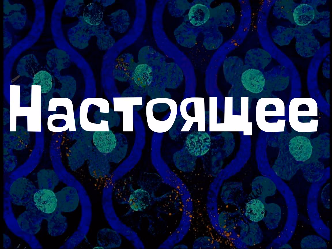 0341dff9d42bab6ed0d60a9812553c8e.avif