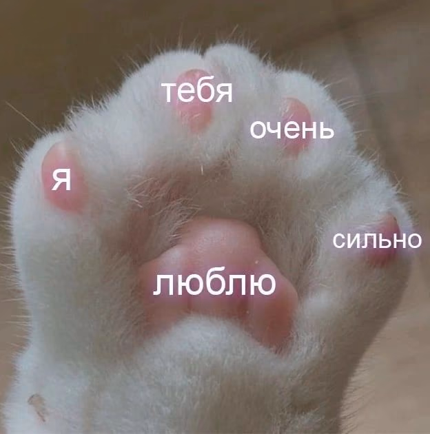 0346a81c909833e3e062f86216e492b4.jpg
