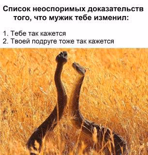 0347f812ddf7b97e899b92abd73ce7e7.avif