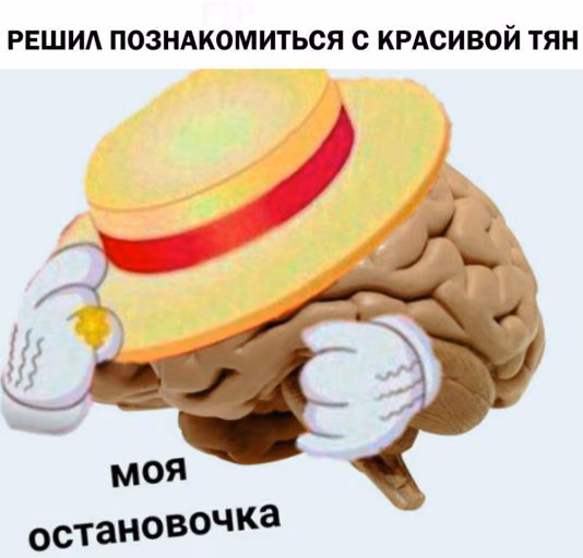 03498c56152964b77ca861bb1d8bfc9b.jpg