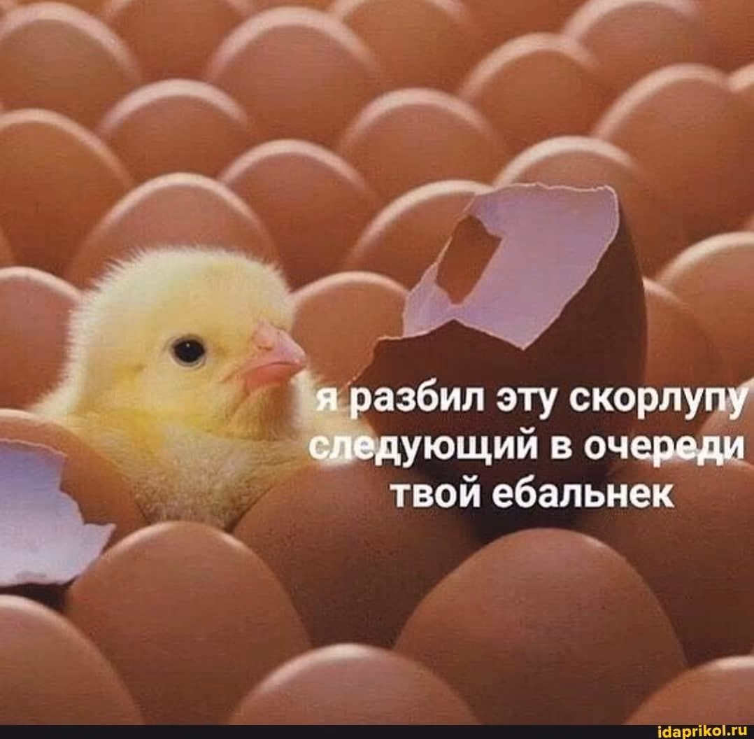 0353863c32190e128e11c26a963b617e.jpg