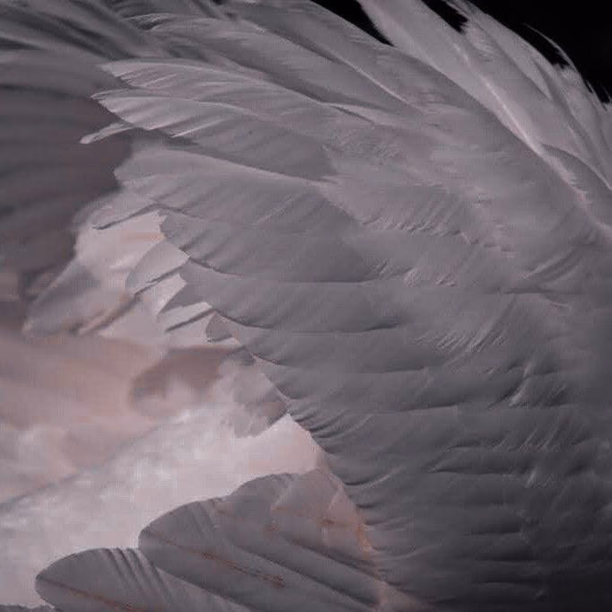 0353a32a5250b8e0465cf7adcf22d6b1.avif