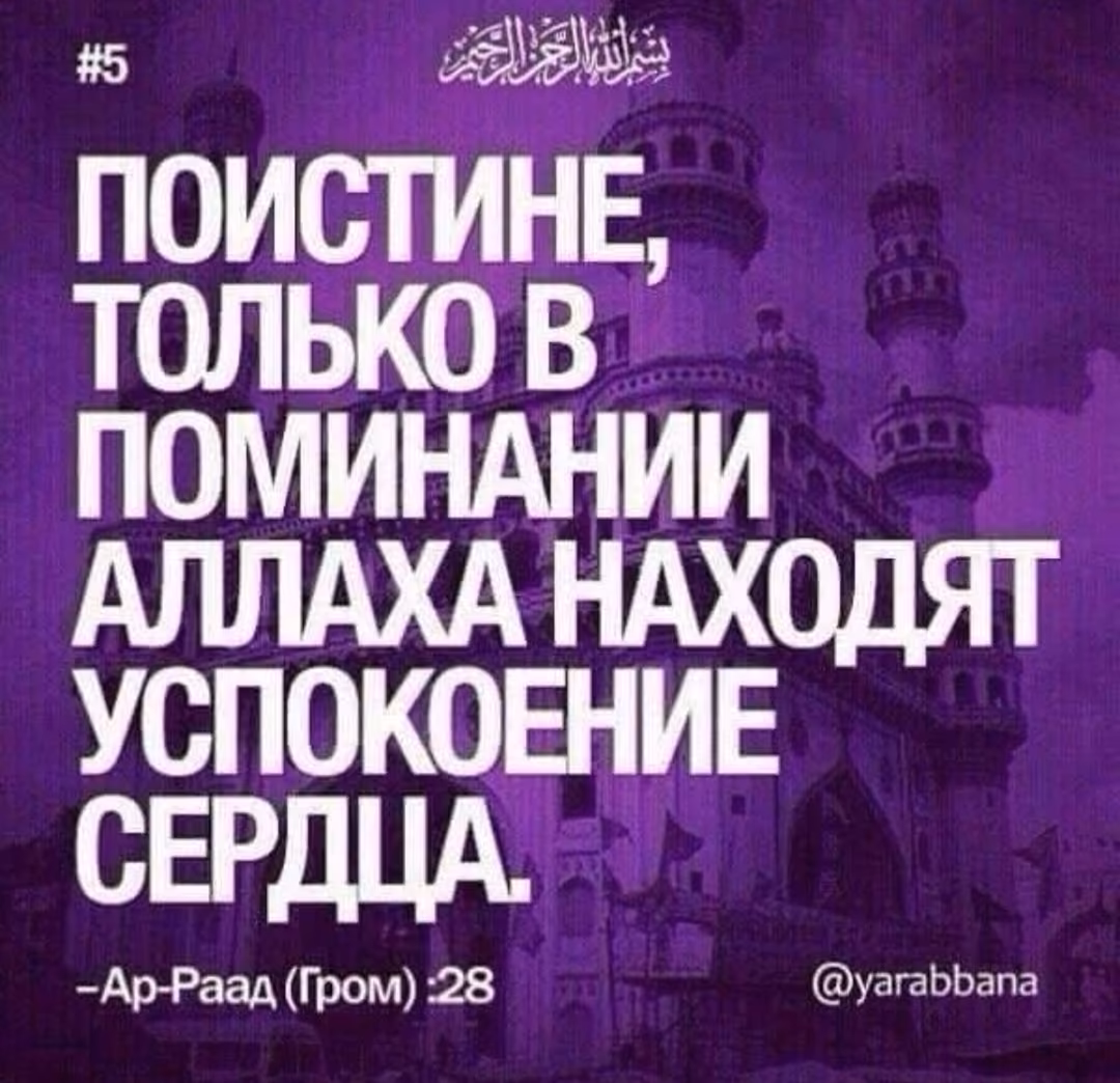 037e5bd208a55e11f7f8ec4ed07f3bac.avif