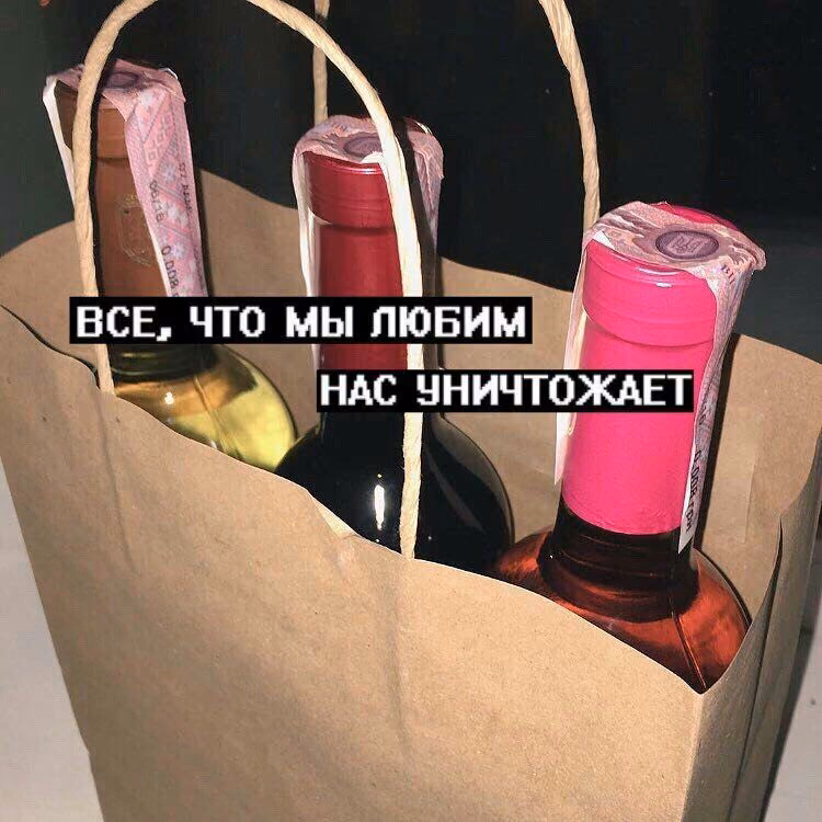 0380e91524b4e03901a93a3c3520756b.avif