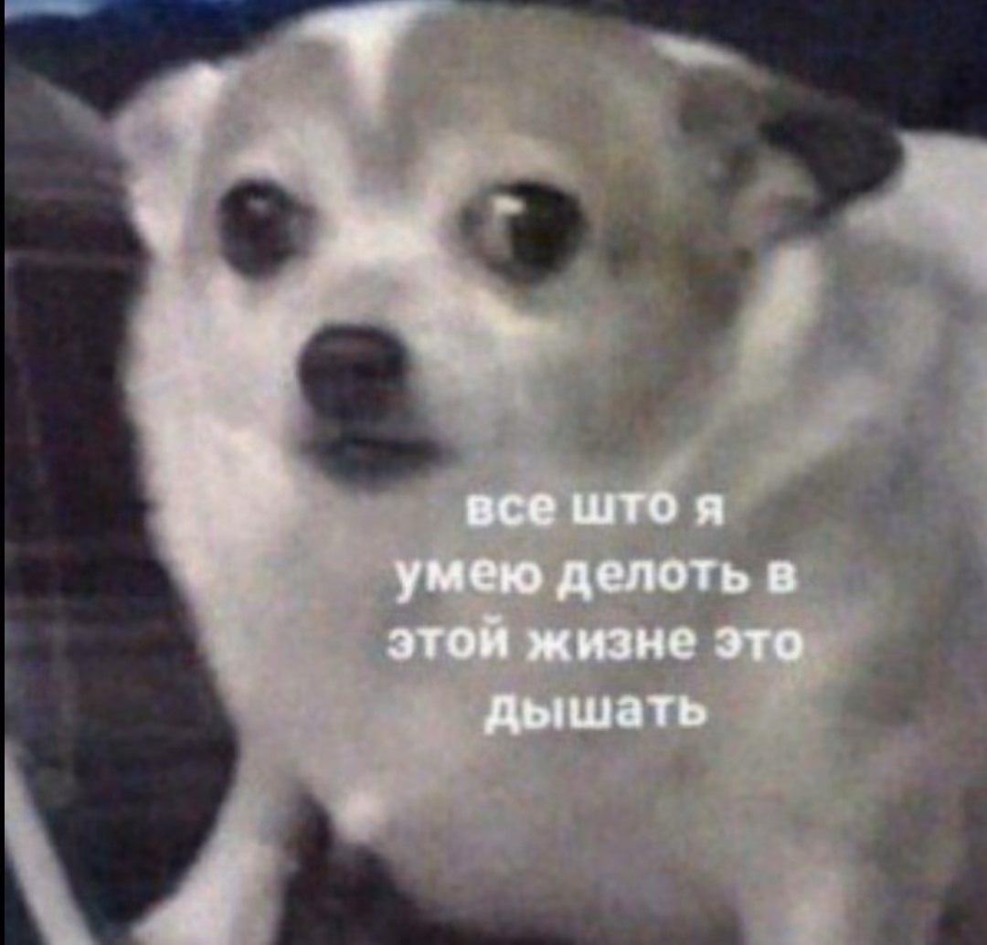 038809b3591d997cba8344c855001905.avif