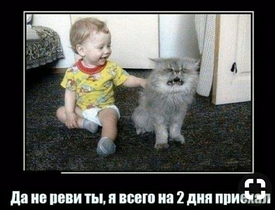 038bf21b1ee3650a815f4bdef281e0b4.jpg