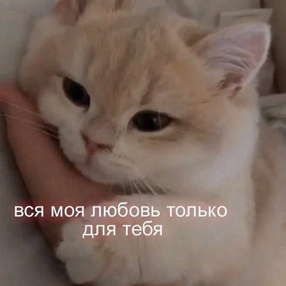 038f5b99fd5acebb8aa511261954ea39.avif