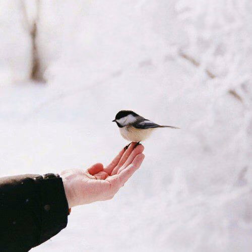 03a31519f4dbd106a8564df4dfb75853.avif
