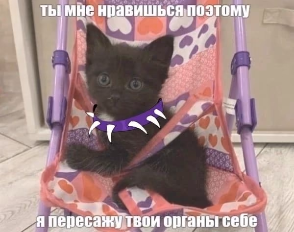 03af9a8089c342b6ec96c86d01be8655.avif