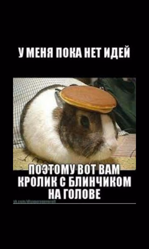 03b1bda56c414f6ca0ff3ffdd791ae80.jpg