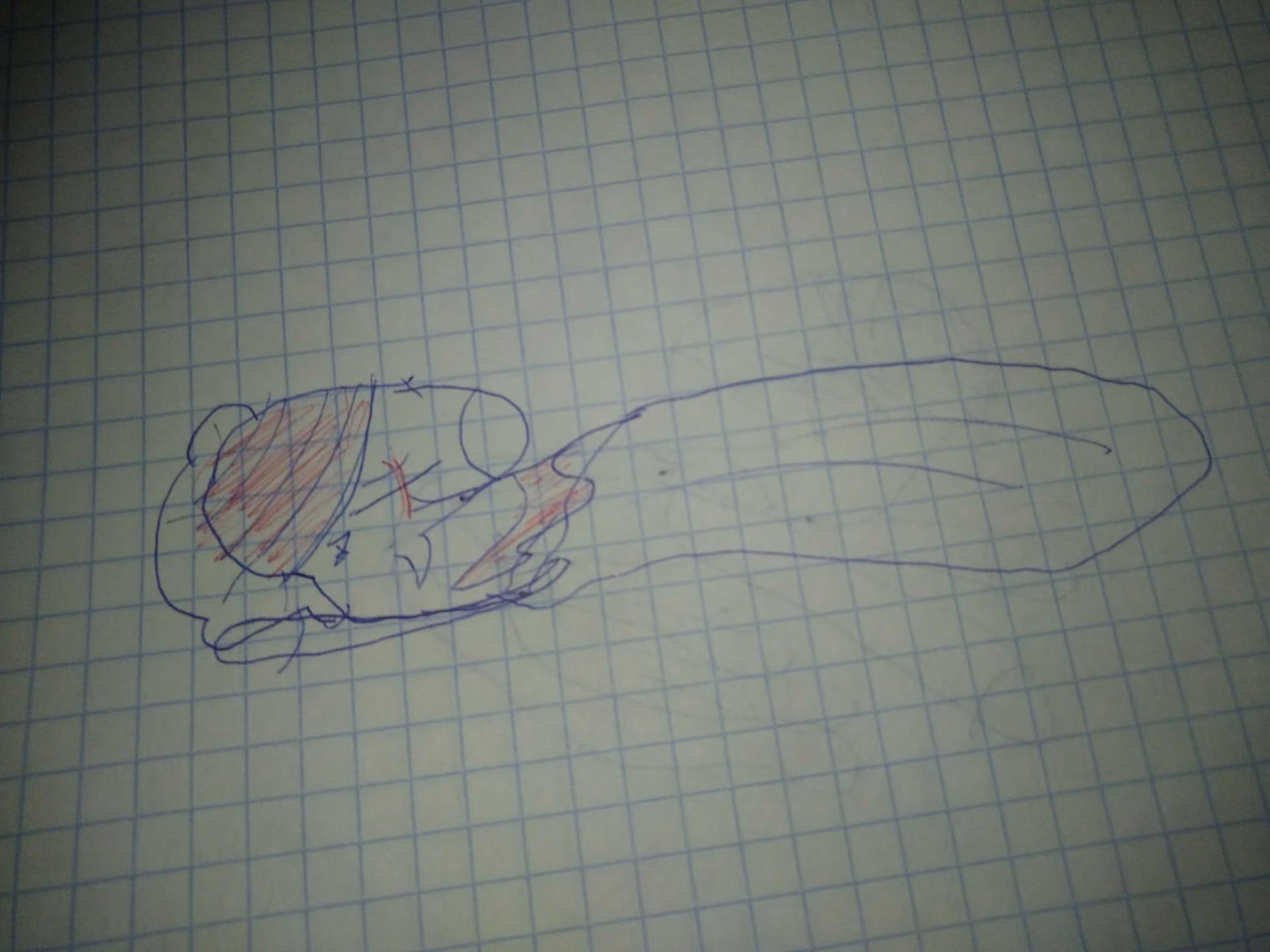 03b6d97e02fcb326822c644f15bfbe17.avif