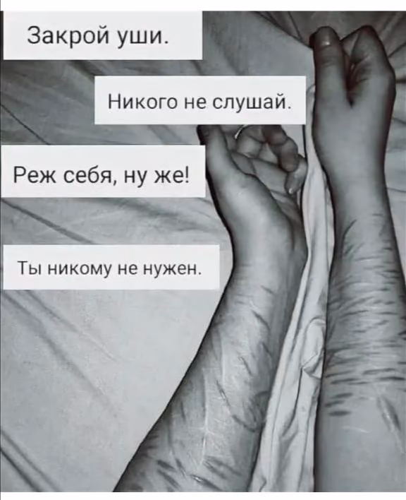 03c1330787cbe465389c2f264005aa81.avif