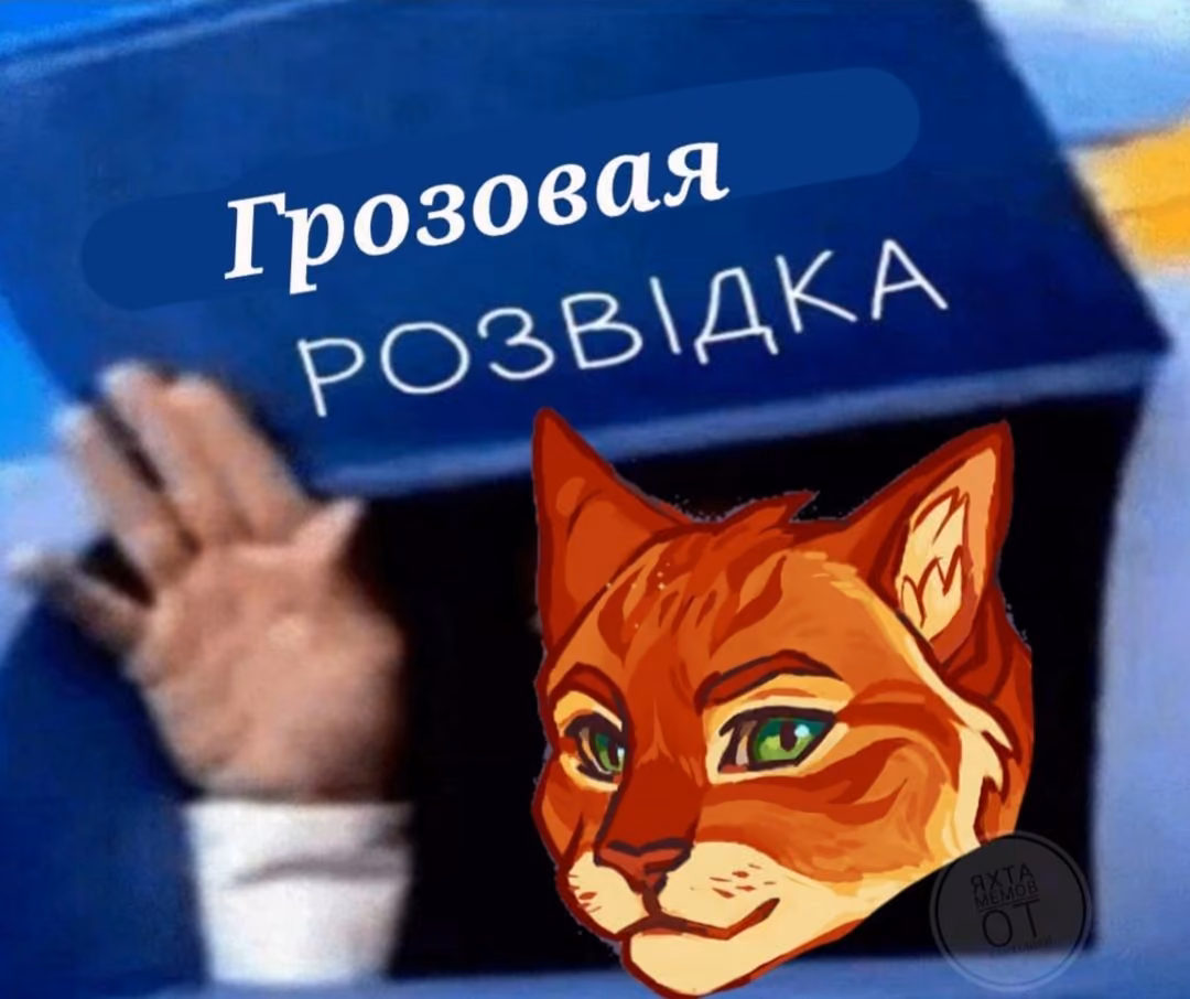 03c17c58807460ff36de9733ea880f00.avif