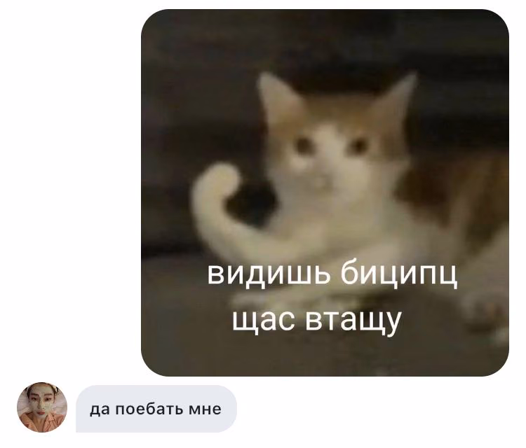 03cd4fe61453e1a4ab5b8c491326f89e.jpg