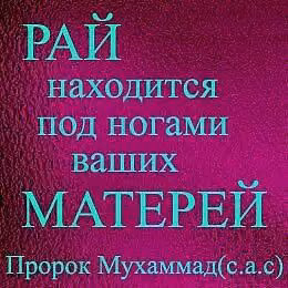03e02570509ea0d95ae967bd8e868b8d.avif