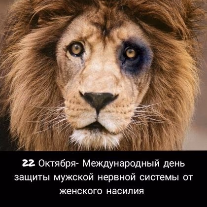 03e8d72db6670586035449f08f4c6235.avif