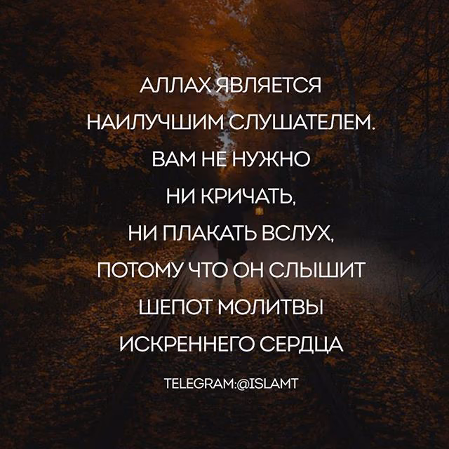 03ea6ec0589e4fdfb6749f518113fcf6.avif