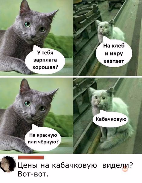 03eac23514df29fae497256c9affea4d.avif