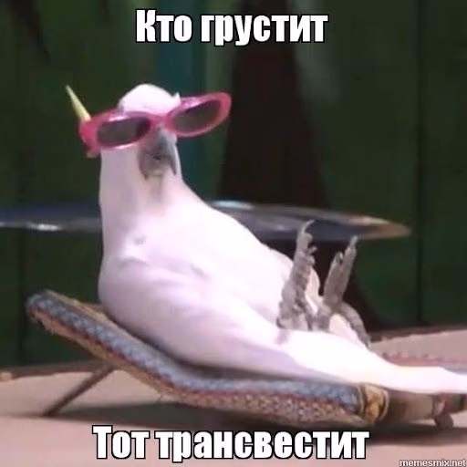 03f8f4a26e7a99f80d24cd52e36825ff.jpg