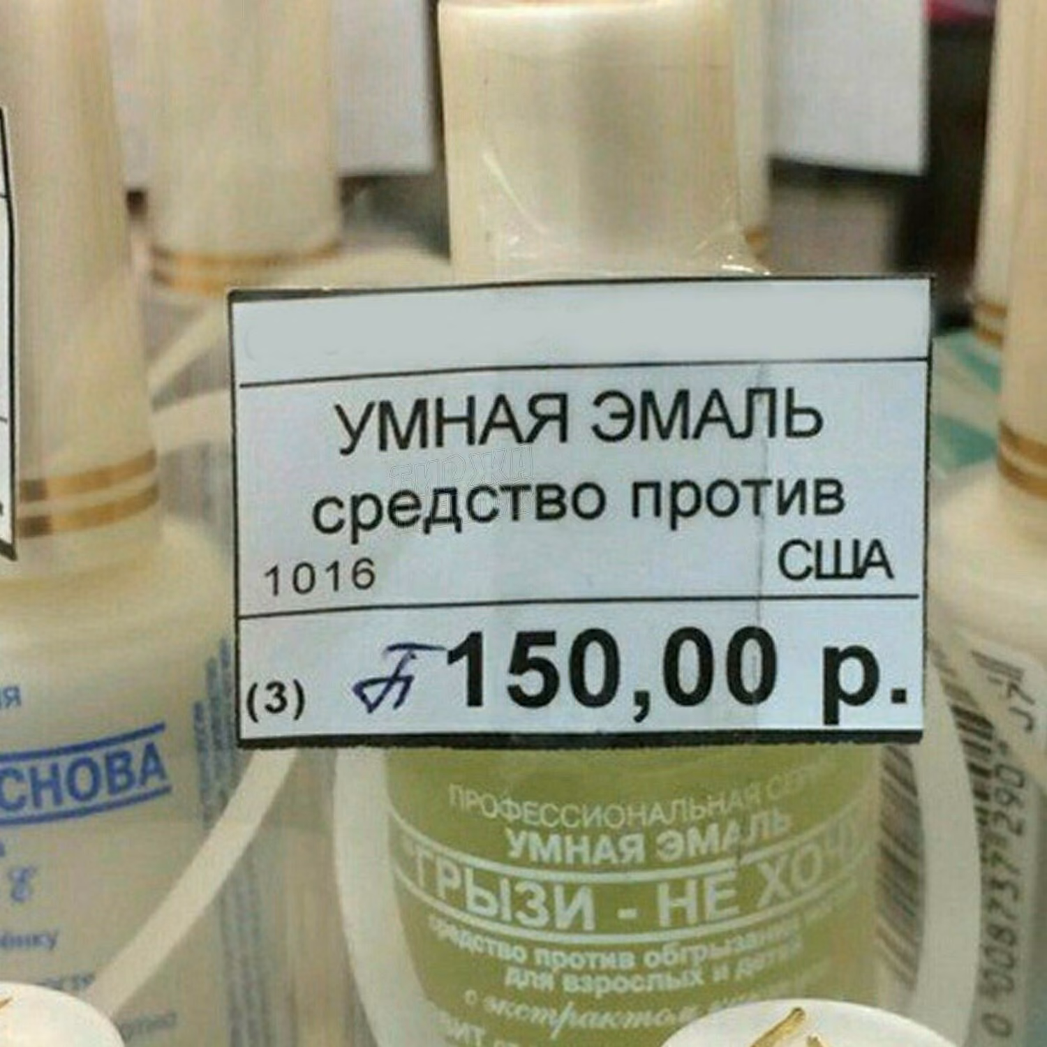 040527f01db80164e3bd25b5c10d16d6.avif