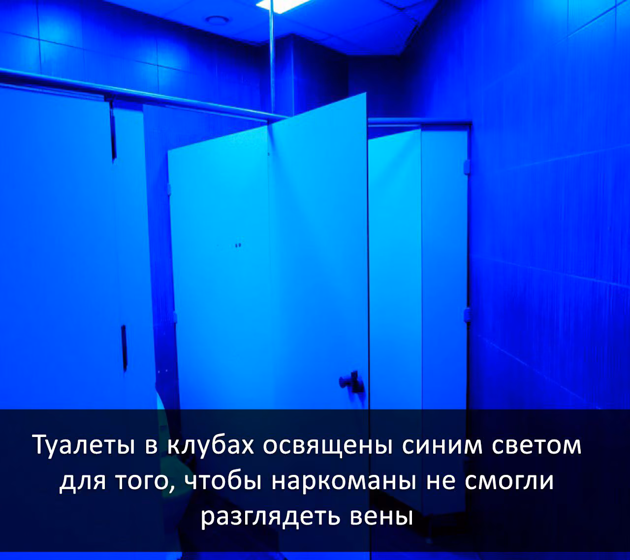 0412bc9cc7c371d892ec28a42887f3de.jpg