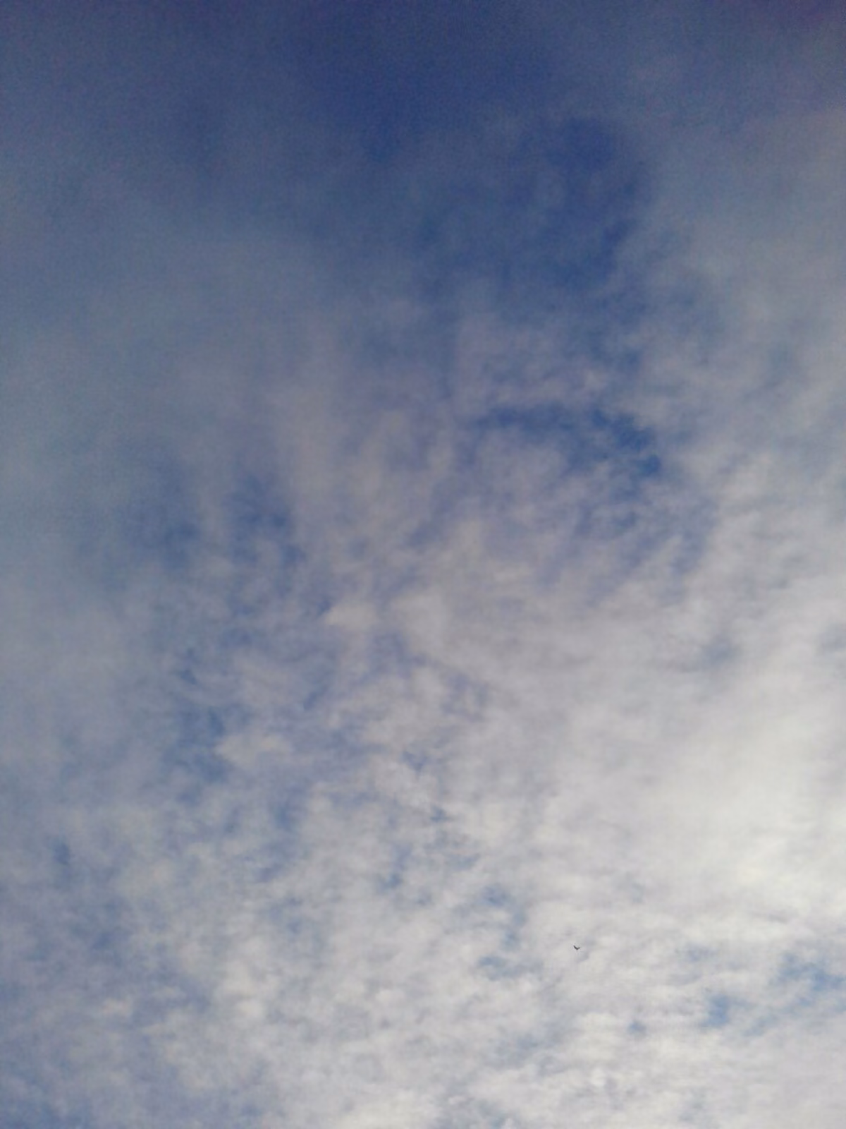 043c7980aacd5a06fcb12242519e439f.jpg