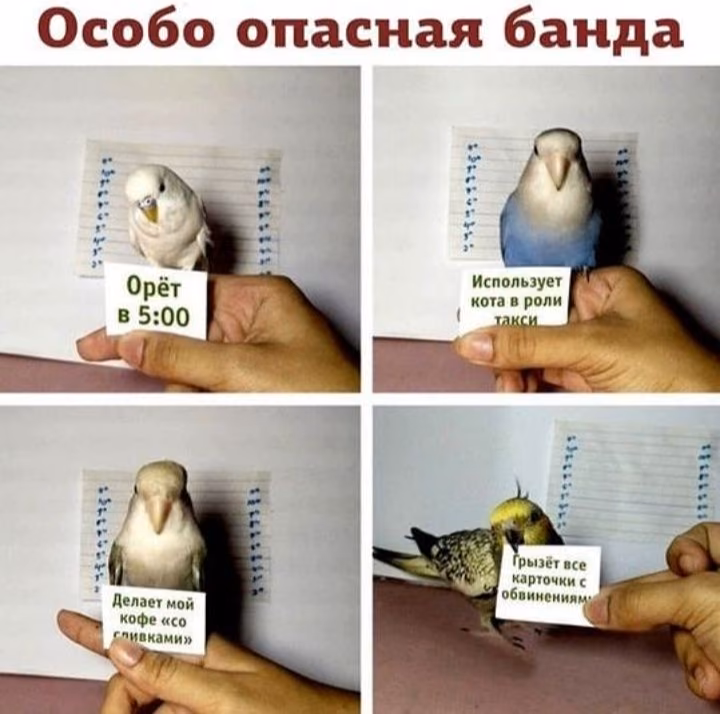 04456d2a99237a043e8cb3235492a59e.avif