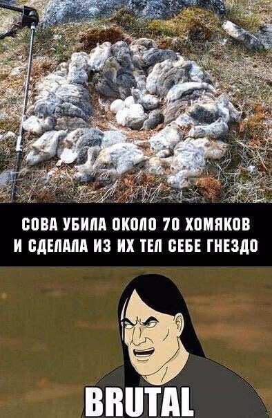 044d166fe30ecb78cca8a9a7e475f47a.jpg