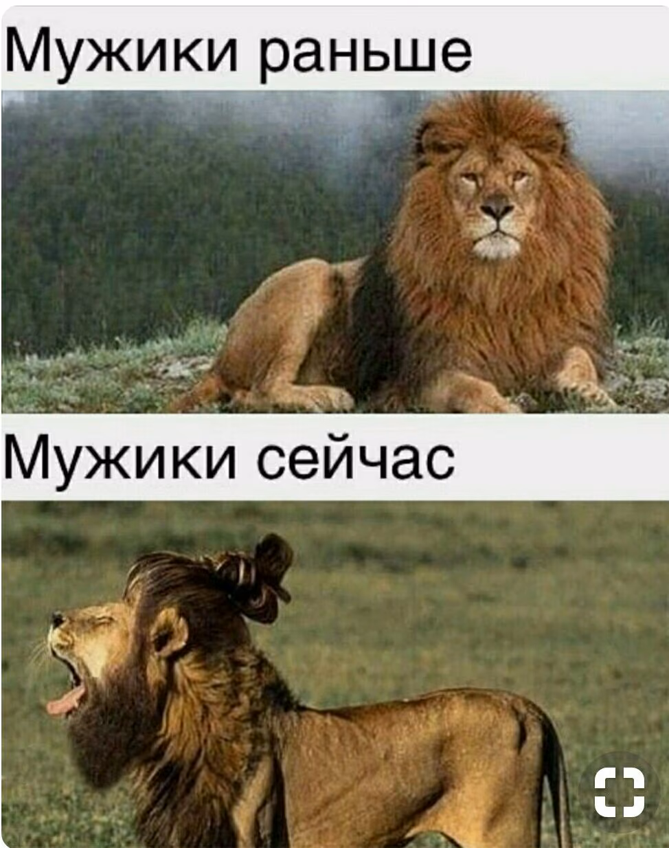 0450c16797afa4b62920468230133df7.jpg