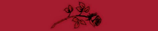 045e1605374186313c15cb102fea91fd.avif