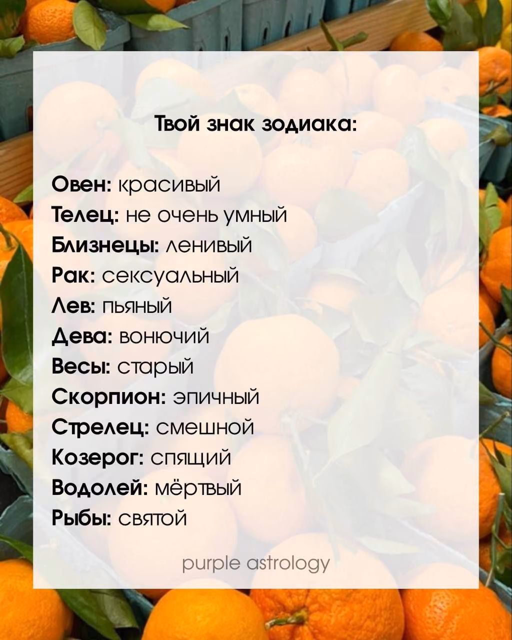 04678bd451ca8bf39dd6c09c77d8c063.jpg