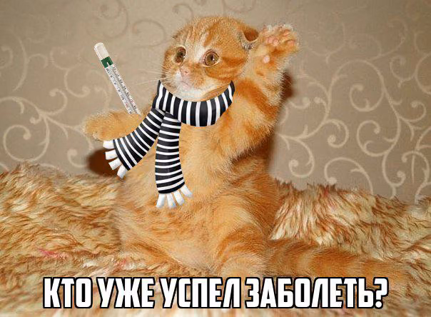 048793b95ec32848822ed3ed766f5d5a.jpg