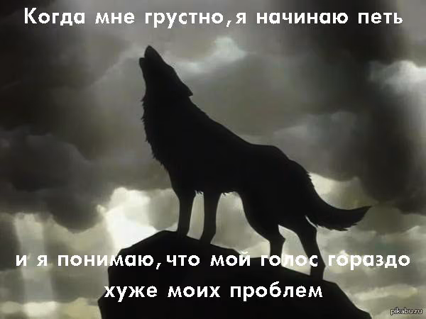 048deec393cd60c653cb83b42c058cc2.avif