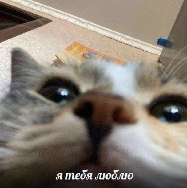 04933813168fc75f16725f4e0eff95c4.avif