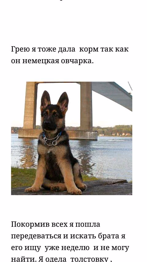 0499269a81f320e01fd3b602a6401549.avif